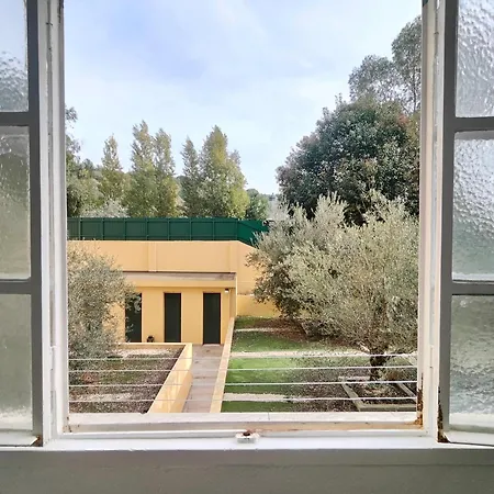 Bright, Spacious And Well-located, By Timecooler Apartman Lisboa